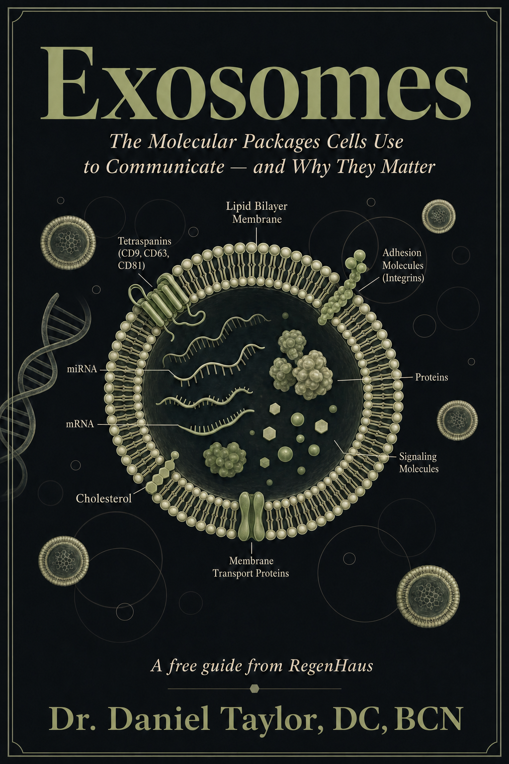 Exosomes